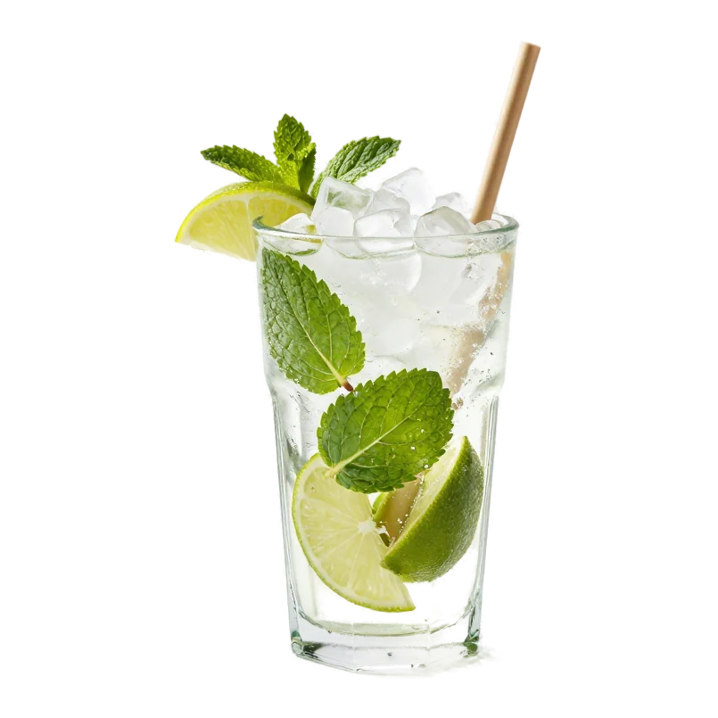 Virgin Mojito